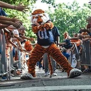 Meet your Posher, Rhonda